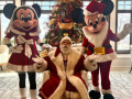 Santa w/ Mr & Ms. Mouse Xmas 