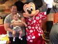 Hawaiian Mr Mouse