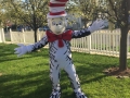 Cat Character