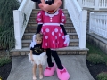 Ms. Mouse in Pink Outfit