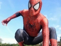 Spider Man