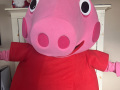 Pink Pig Mascot Character 
