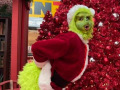 Grinch 