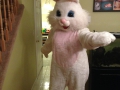 Easter Bunny
