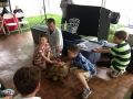 Exotic Animal Show